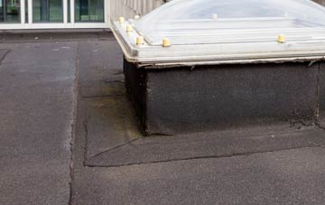 disadvantages of Reddicap Heath flat roofs