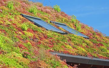 Reddicap Heath living roof systems