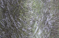 Reddicap Heath fibreglass roof work